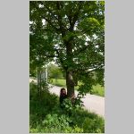 p1010138 [800x600].jpg